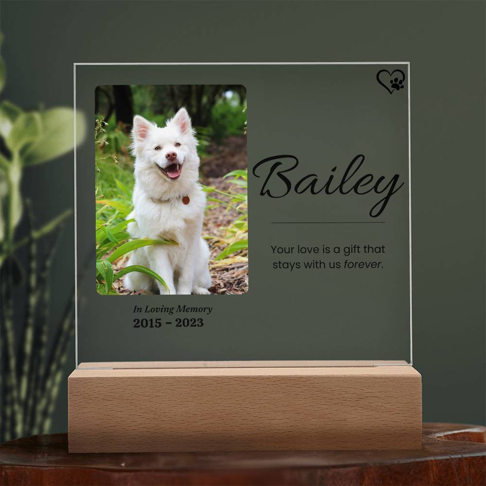 Pet Memorial Night Light, Custom Pet Plaque, Pet Night Light, Custom Pet Photo, Pet Memorial Frame, Gifts for Pets, Cat Dog Loss Gift