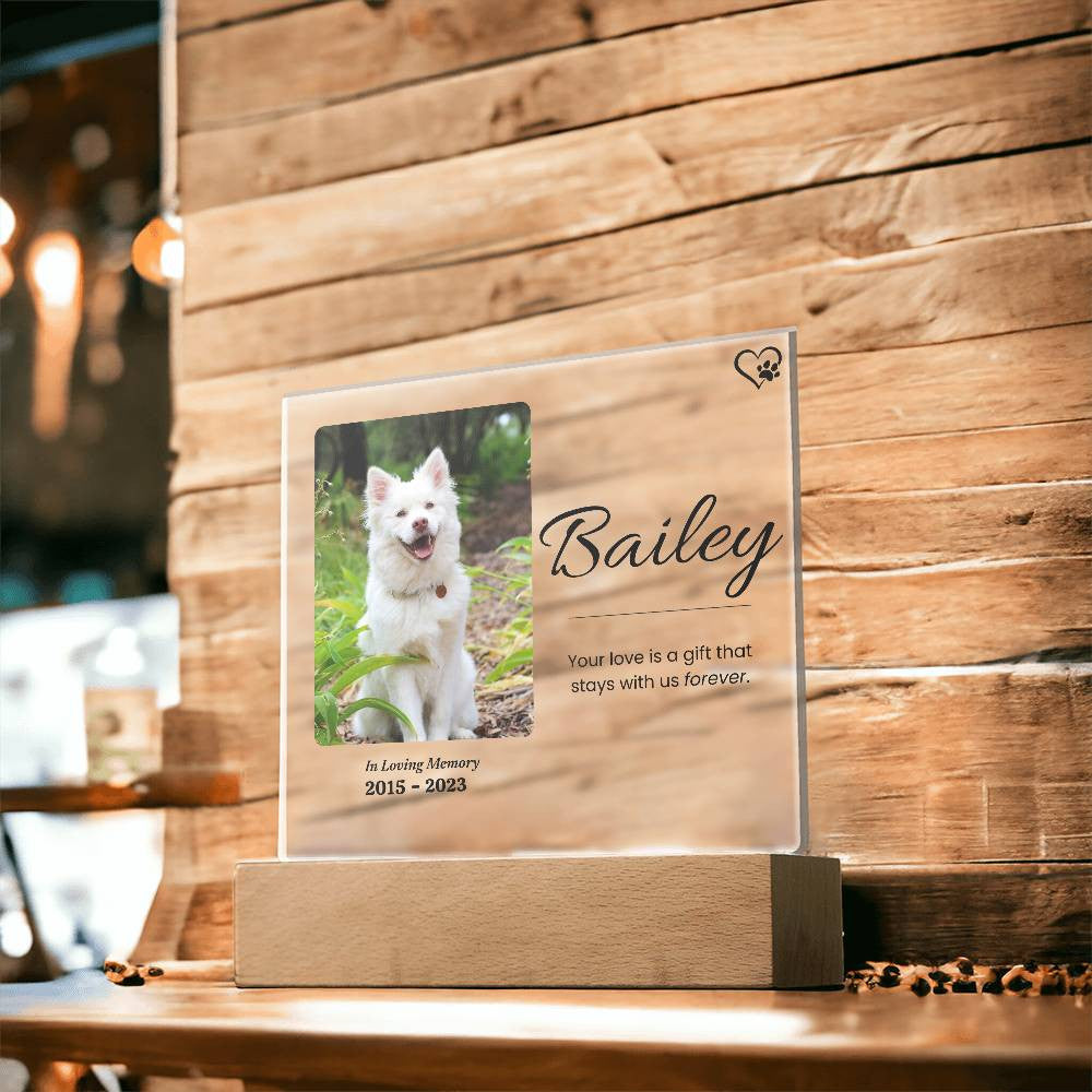 Pet Memorial Night Light, Custom Pet Plaque, Pet Night Light, Custom Pet Photo, Pet Memorial Frame, Gifts for Pets, Cat Dog Loss Gift