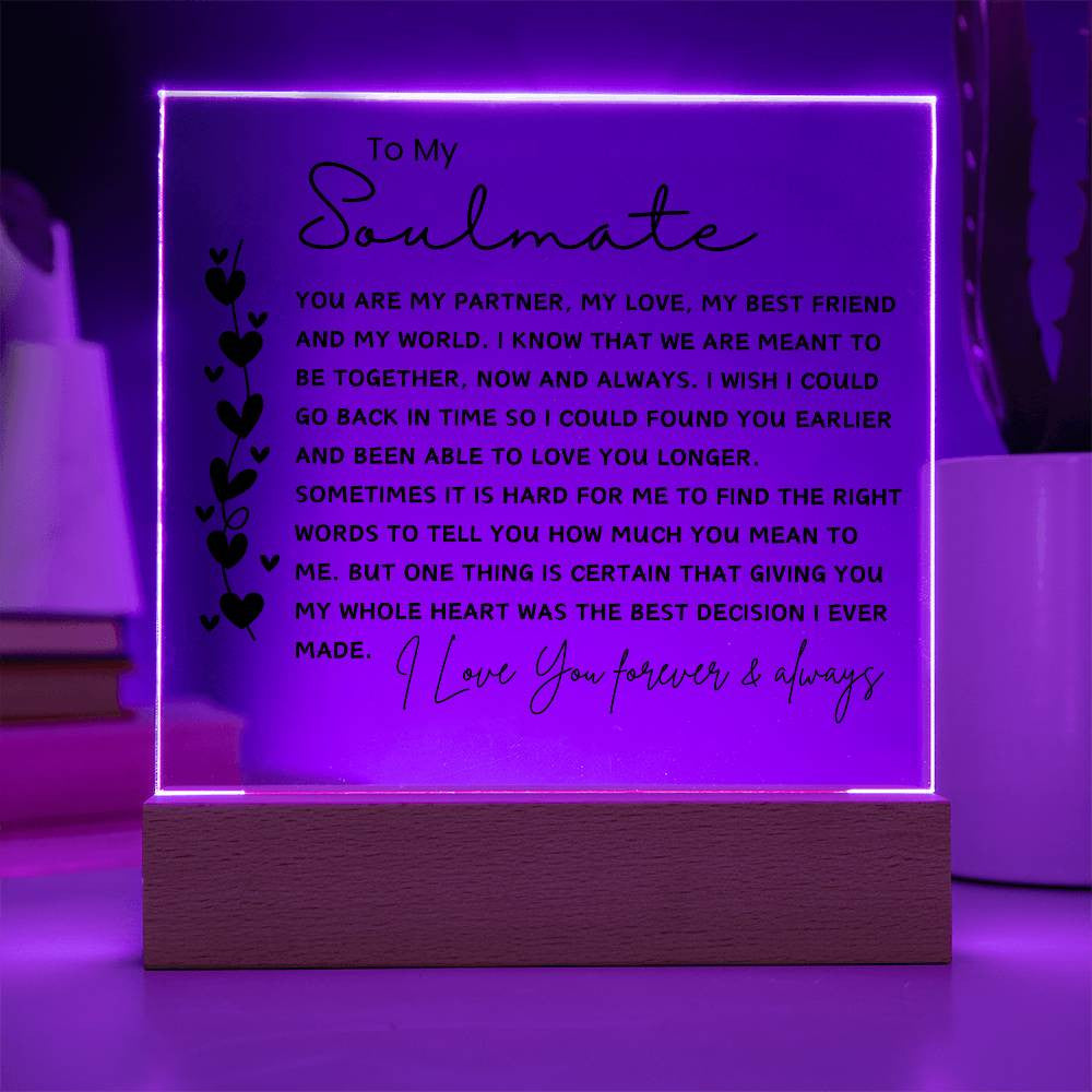 Soulmate Gift, Sentimental Gifts for Wife, Personalized Gift for Husband, Anniversary Gift for Husband Wife, Acrylic Plaque, Girlfriend Gift